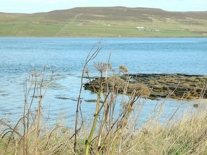 30-09-2007 0059 Gurness